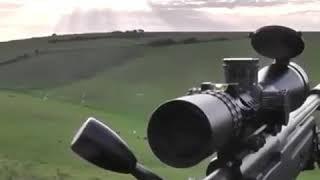 Идеальная болтовка!