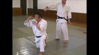Self Defense - Satoh