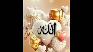 MD RAIYAN