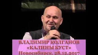 Калины куст, исполняет Владимир Колганов. Новосибирск #песни