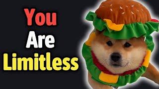 Your Life Has NO LIMITS  | Positive Pets 9