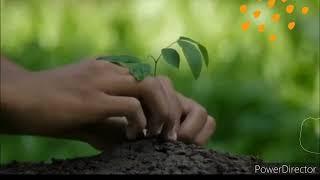 Let the earth   breathe | Save the planet