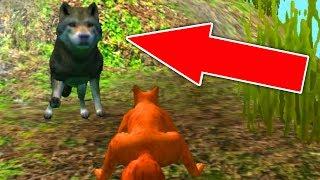 СИМУЛЯТОР БЕЛКИ #1 ОХОТИТСЯ ВОЛК сделали ДУПЛО в Squirrel Simulator