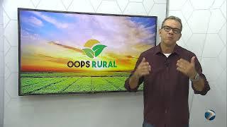 Programa Oops Rural #TVOops #AoVivo (15/02/2020)