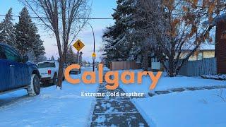 Extreme Cold in Calgary on February 2025  Calgary winter 4k Walking tour  | haya vlog