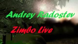 Andrey Radostev - Zimbo live