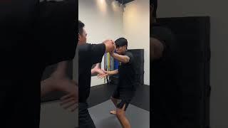 Mixed Style Martial Arts Self Defense