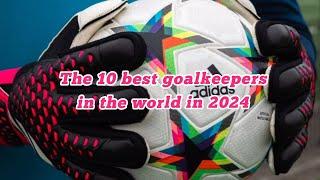 The 10 Best Goalkeepers in the World in 2024