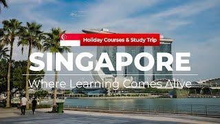 Learn Beyond Borders: Holiday Courses & Study Trip in Singapore | Spring College International