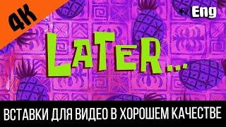 #6 Later / Позже | SpongeBob Timecard | Вставка для видео | Insert for video