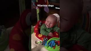 Baby Grayson had an infectious laugh