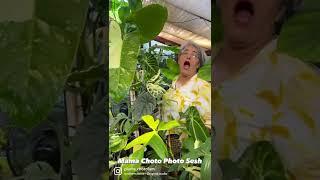 Mama Choto 