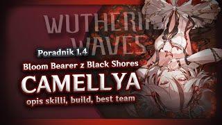 CAMELLYA - świetny HAVOC DPS! | Poradnik i build 1.4  | Wuthering Waves Polska