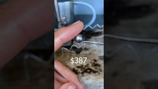Harvesting the most beautiful pearls on the planet 