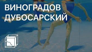 Александр Виноградов, Владимир Дубосарский | Пока все дома у Антона