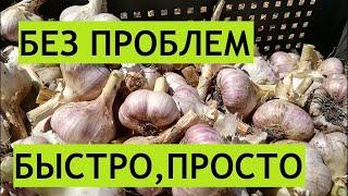 Уникальное приспособление для обрезки чеснока!