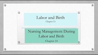 Maternal Newborn (OB)Nurse(RN)Student_Ricci 4th Ed. Full lecture Ch. 13/14 Labor_Birth_Nurse Role 21