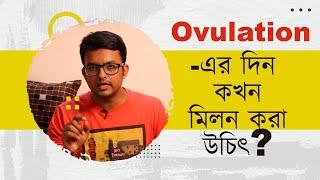 Best time on Ovulation Day | অভুলেসনের দিন কখন মিলন করা উচিৎ | The Bong Parenting