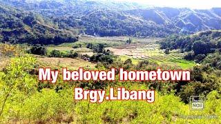 Brgy.Libang