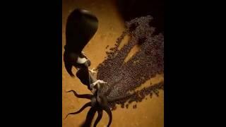 "Morticia Addams Surrounded by Countless Spiders – A Classic Addams Family Moment! ️**