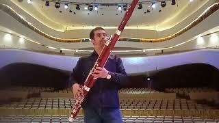 Moscow's Stunning Zaryadye Concert Hall - See What You've Been Missing!