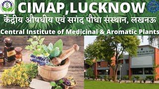 CIMAP, LUCKNOW || CSIR-CENTRAL INSTITUTE OF MEDICINAL AND AROMATIC PLANTS, LUCKNOW || सीमैप लखनऊ