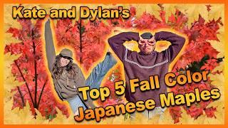 "Transform Your Garden: Top 5 Japanese Maples for Spectacular Fall Foliage w/ Kate and Dylan!