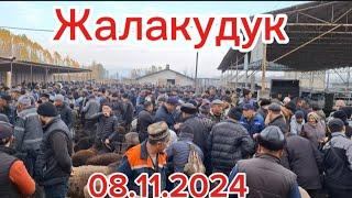 Андижон вилояти Жалакудук хайвон бозори 8.11.2024 #андижон #жалакудук #водийдансадо