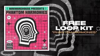 [FREE] VINTAGE SOUL LOOP KIT/SAMPLE PACK - "Phantom Harmonies " (J Cole, Rick Ross, Kanye West)