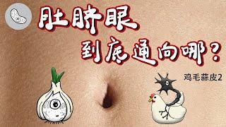 肚脐眼到底通向哪？一扣肚脐就想尿尿？竟是细菌培养皿！Where does the belly button lead to?