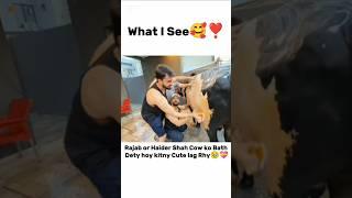 What U SeeRajab or Haider Cow ko Bath De rhy#rajabfamily #emaanrajab #viralvideo #trendingshorts