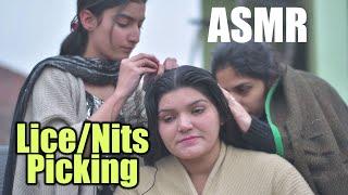 Multiple Ladies Head Lice and Nit Picking Hair | ASMR Pakistan