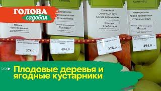 Голова садовая - Плодовые деревья и ягодные кустарники