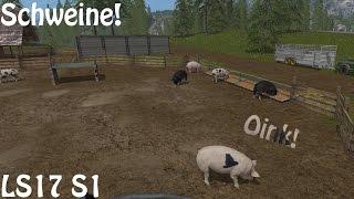 LS17 S1E50 - Folge 50: Die Schweine kommen!