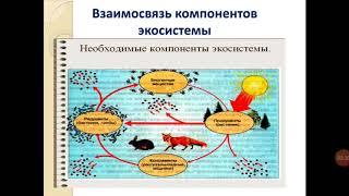 Н.Т.Санбаева Взаимосвязь компонентов экосистемы