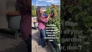 Fall Gardening: What Not To Buy, And What To Buy Instead... #fallgarden #gardening