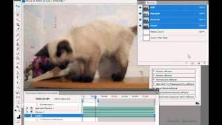 Редактирование видеофайлов в Photoshop