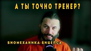 А ты точно тренер? Главная функция бицепса: сгибание плеча или предплечья?