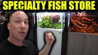 Specialty FISH store tour - the king of DIY +NAQ aquarium
