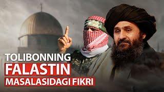 Tolibonning Falastin masalasidagi fikri - Abu Saloh #shomminbari #abu_saloh #tolibon #aqso #falastin