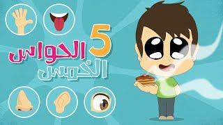 The Five Senses in Arabic for Kids – Learn the five senses in Arabic with Zakaria