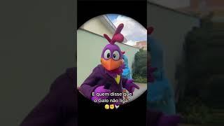 Quem disse que o Galo não ligou?