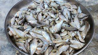 छोटी मछली बनाने का सबसे आसान तरीका । छोटी मछली कैसे बनता है। Small Fish Recipe l Fish Curry Recipe