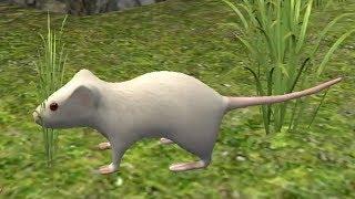 Mouse Simulator Android Gameplay