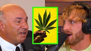 WHY KEVIN O'LEARY WOULD NEVER INVEST IN CANNABIS