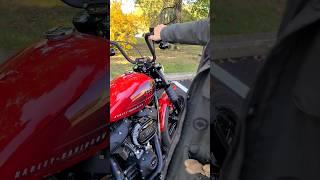 Harley Street Bob 114 Sound  #harleydavidson #motorcycle #streetbob #cobra #streetbob114 #exhaust