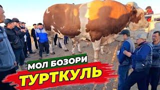 28 июля 2024 г. ТУРТКУЛЬ МОЛ БОЗОР НАРХЛАРИ