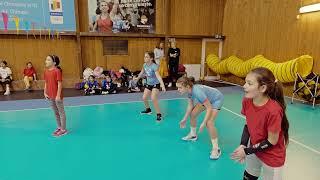 Spiking into the Future: Baby Volley Extravaganza Unleashes the Next Generation of Volleyball Stars!