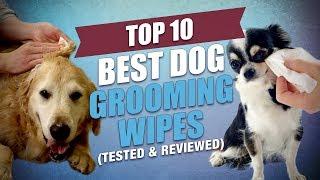 The Best Dog Wipes for Light Grooming (2018)