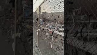 She didn’t just visit… she claimed the bridge#usa#newyork#travel#broklyn#viral#comedy#lol#fun#fyp